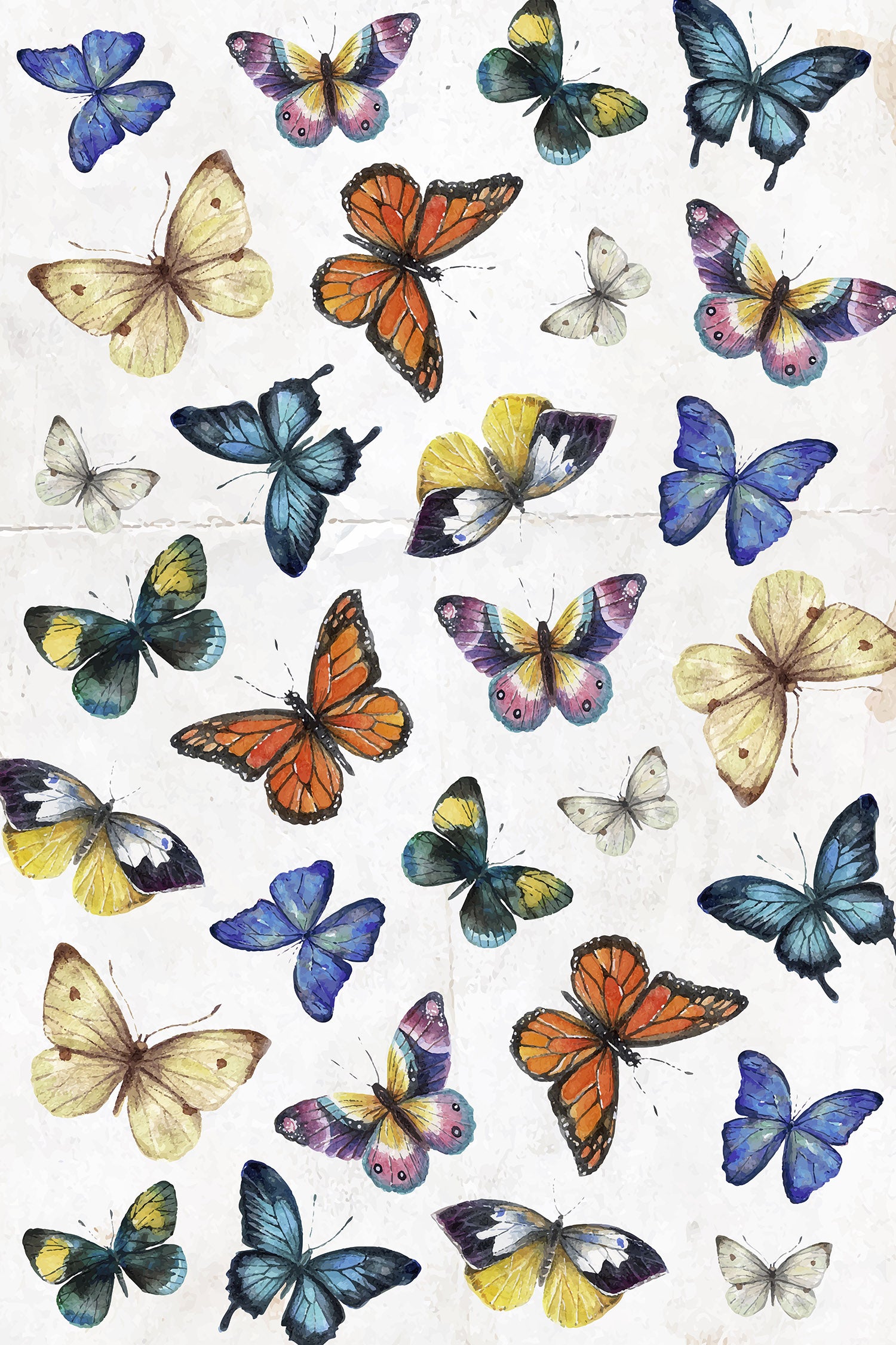 Watercolor Butterflies Wrapping Paper