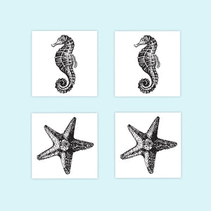 Seahorse and Starfish Sticker Set